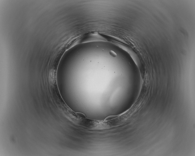 X0000115810093200911131429