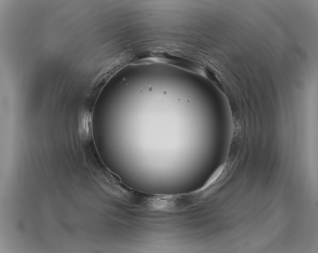 X0000115810094200911131429