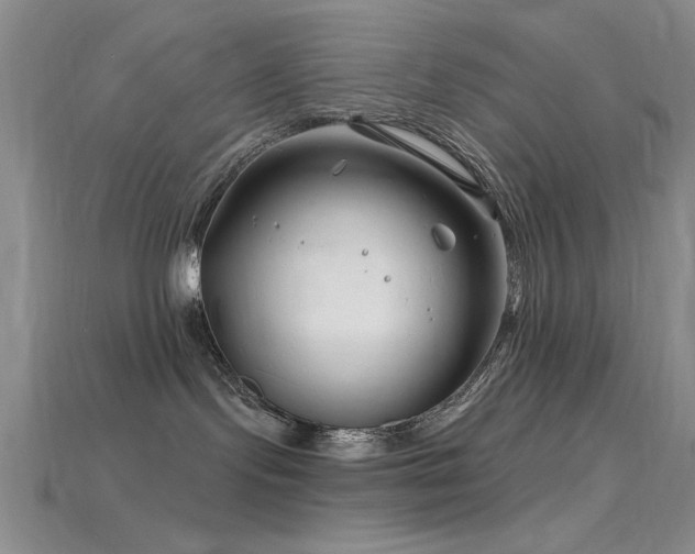 X0000115810095200911131429