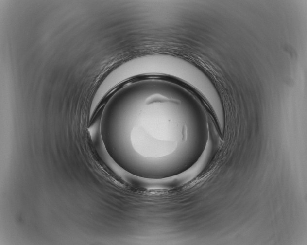 X0000115810096200911131429