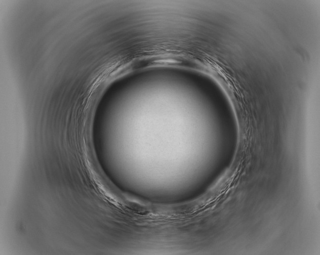 X0000115810097200911131428