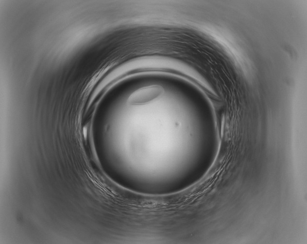 X0000115810099200911131428