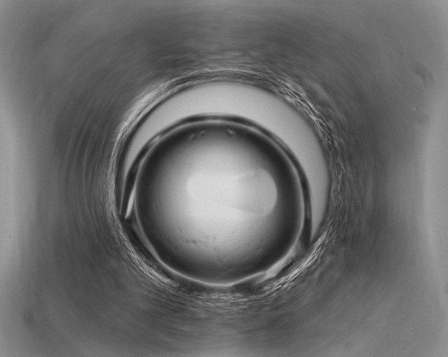 X0000115810101200911131428