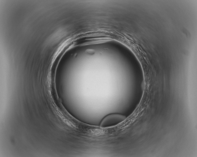 X0000115810102200911131428