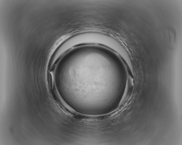 X0000115810104200911131428