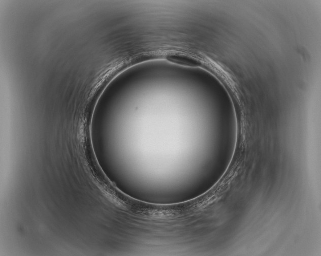 X0000115810105200911131428