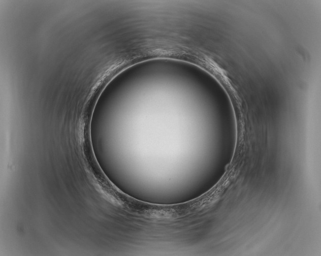 X0000115810106200911131428