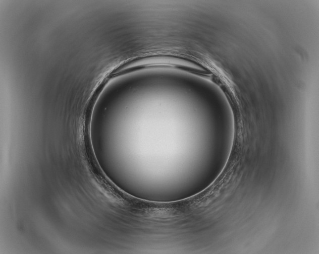 X0000115810107200911131428