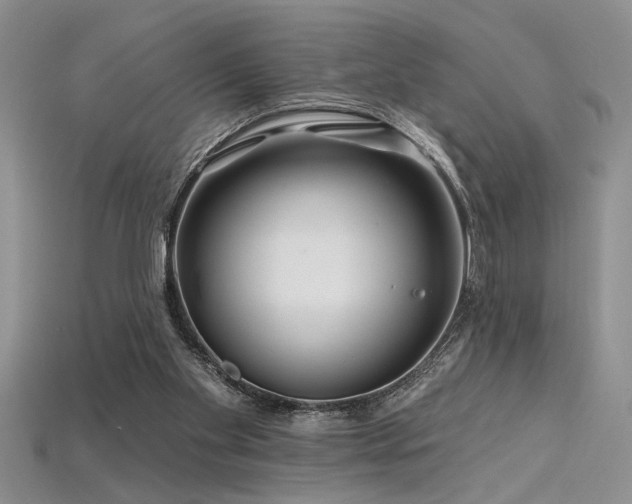 X0000115810109200911131428