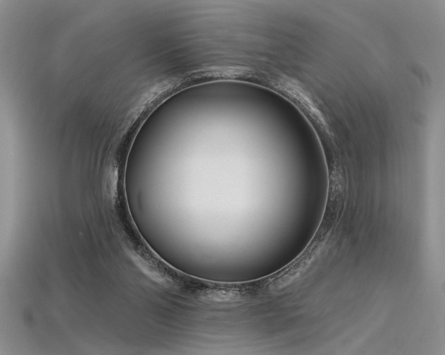 X0000115810110200911131428
