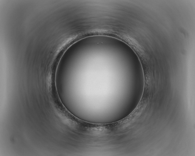 X0000115810112200911131428