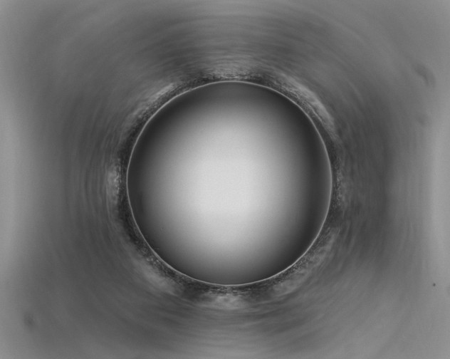 X0000115810113200911131428