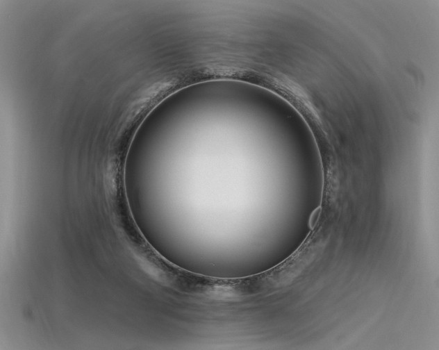 X0000115810114200911131428