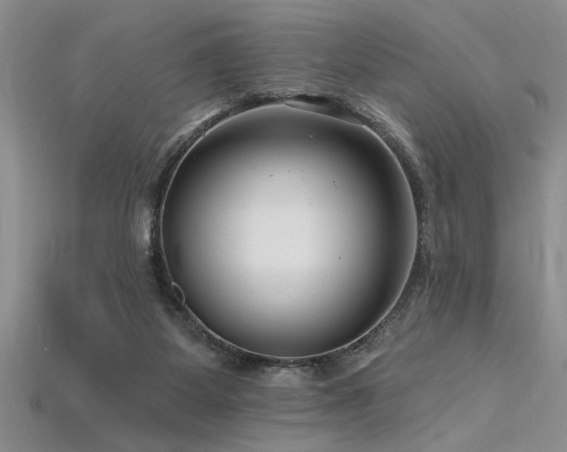 X0000115810115200911131428