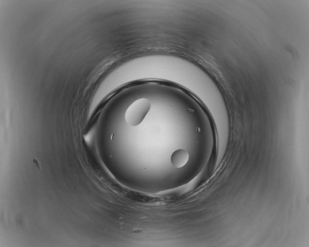 X0000115810116200911131428
