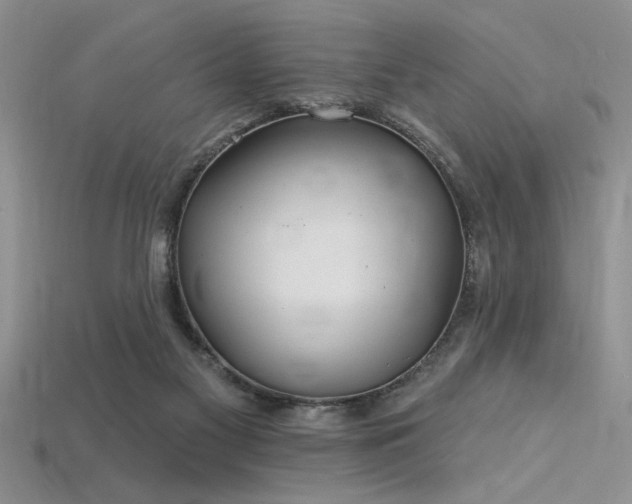 X0000115810117200911131428
