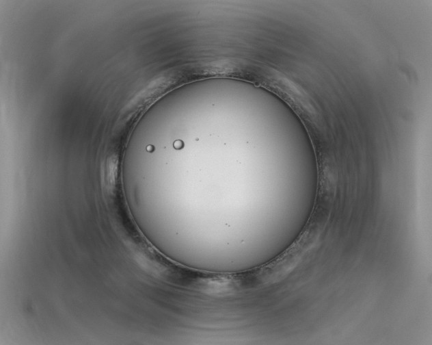 X0000115810118200911131428