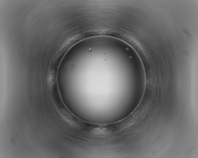 X0000115810119200911131428