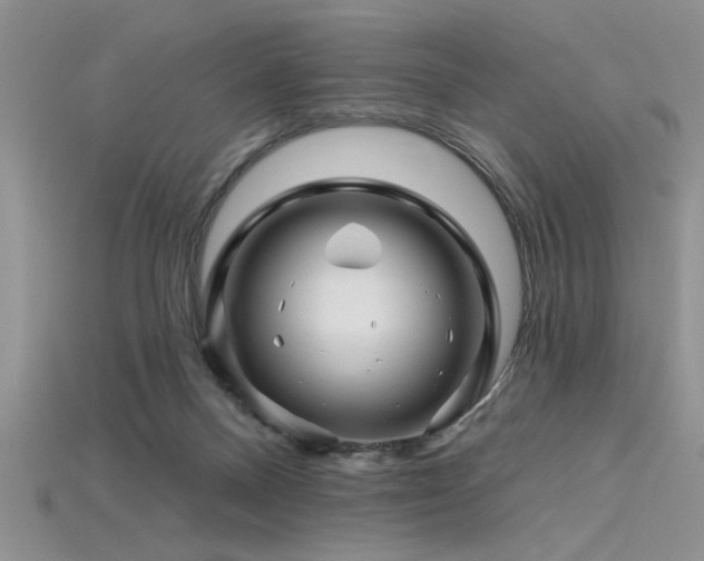 X0000115810120200911131428