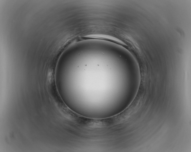 X0000115810123200911131428