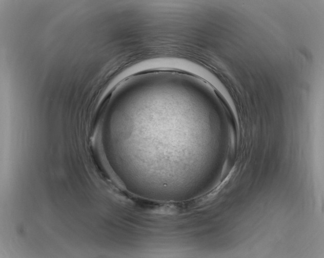 X0000115810124200911131428