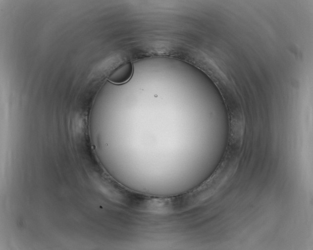X0000115810126200911131428
