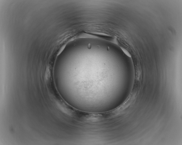X0000115810128200911131428