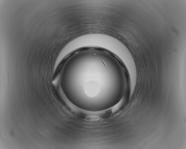 X0000115810129200911131428