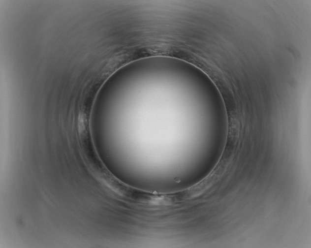 X0000115810130200911131428