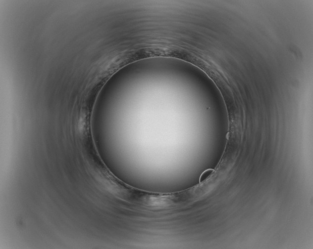 X0000115810134200911131428
