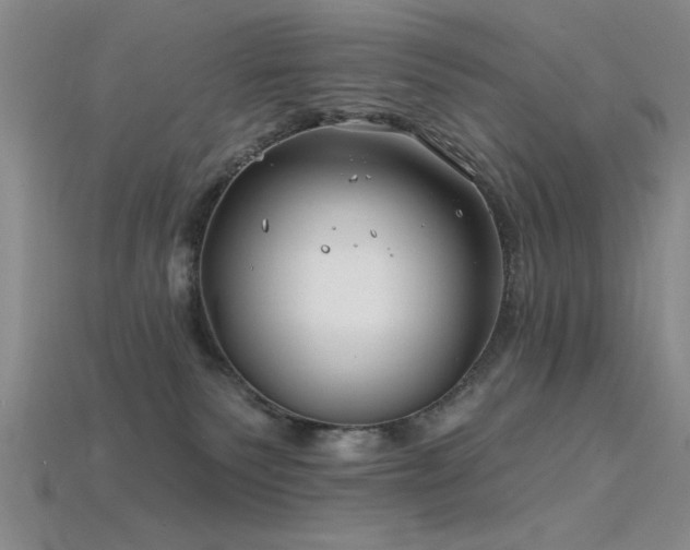X0000115810135200911131428