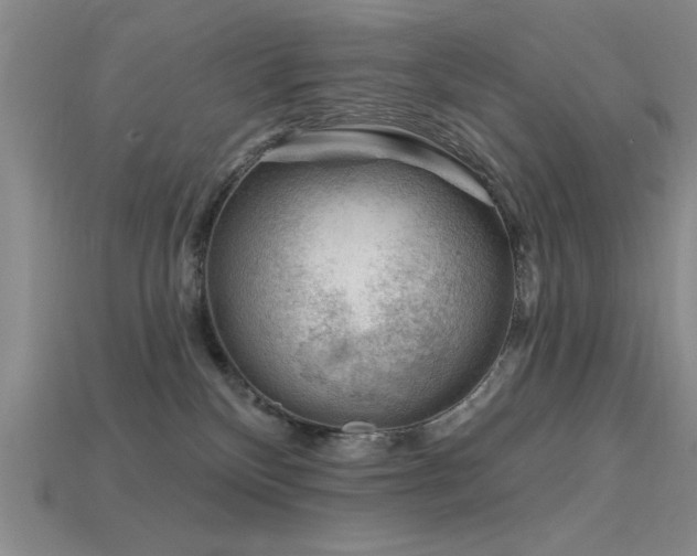 X0000115810136200911131428