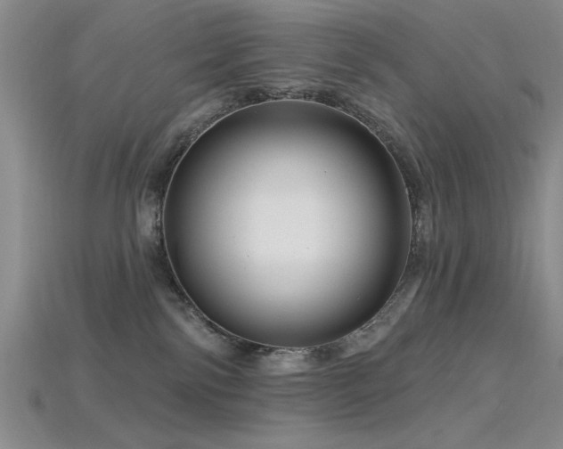 X0000115810138200911131428