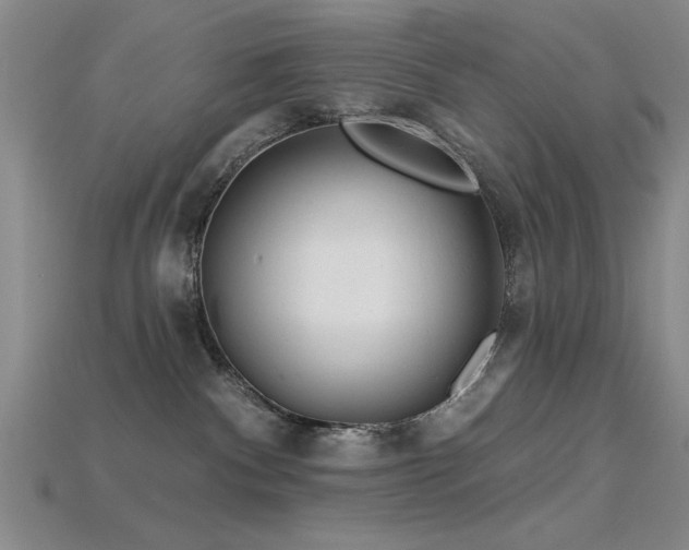 X0000115810140200911131428