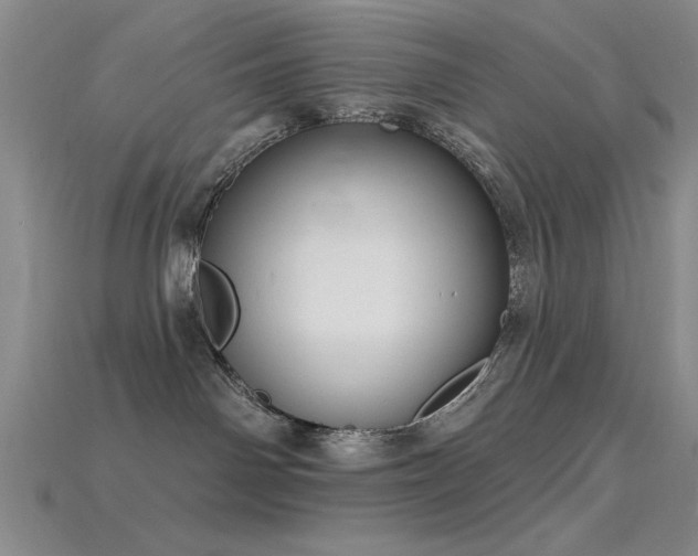 X0000115810142200911131428