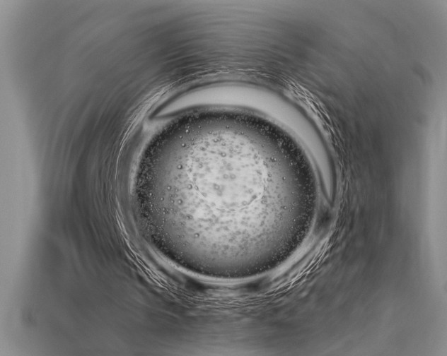 X0000115810145200911131427