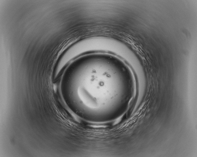 X0000115810146200911131427