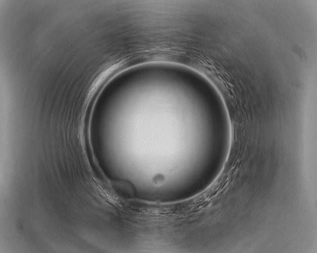 X0000115810147200911131427