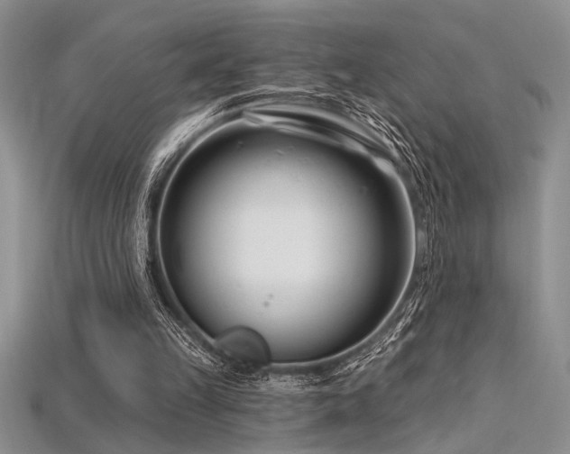 X0000115810149200911131427