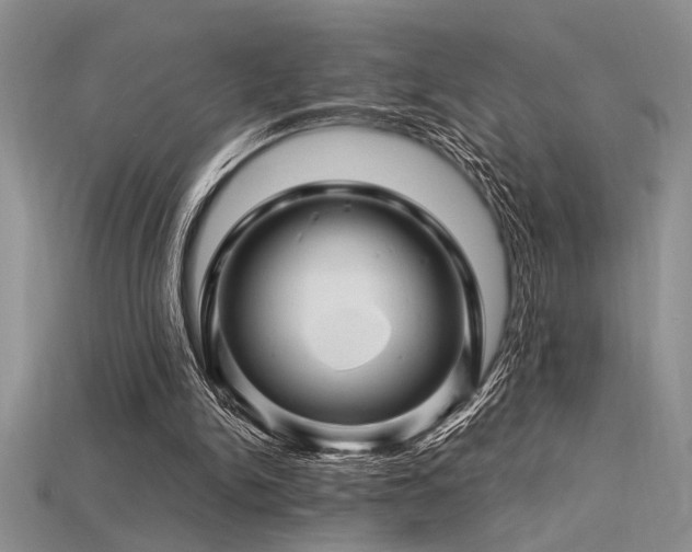 X0000115810150200911131427