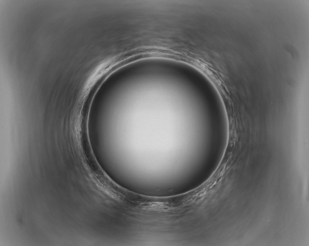 X0000115810151200911131427