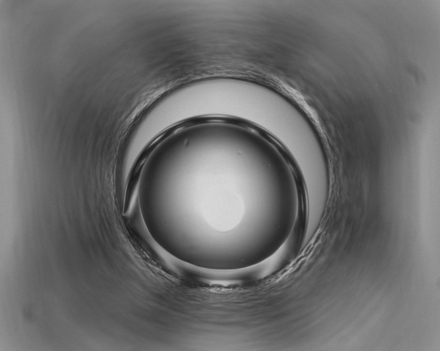 X0000115810154200911131427