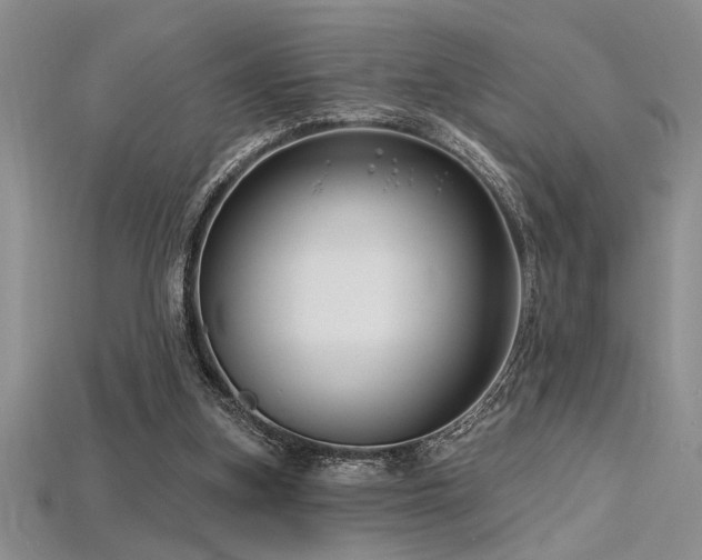 X0000115810155200911131427