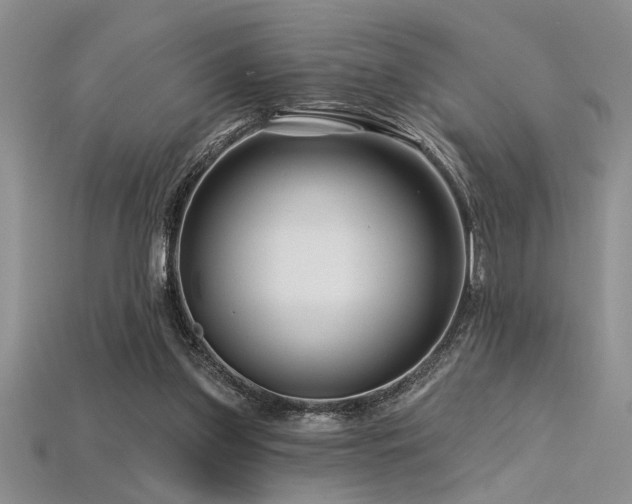 X0000115810157200911131427