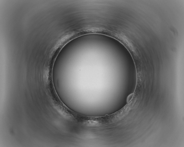 X0000115810159200911131427
