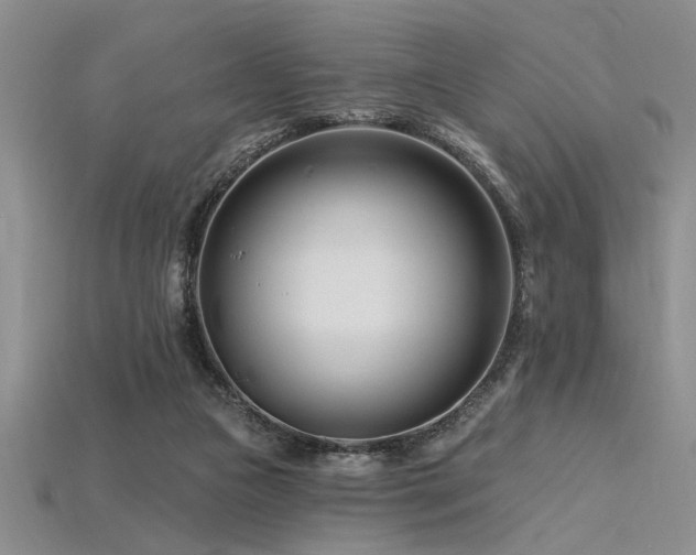 X0000115810161200911131427