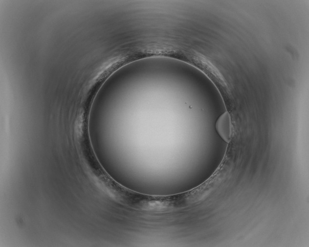 X0000115810163200911131427