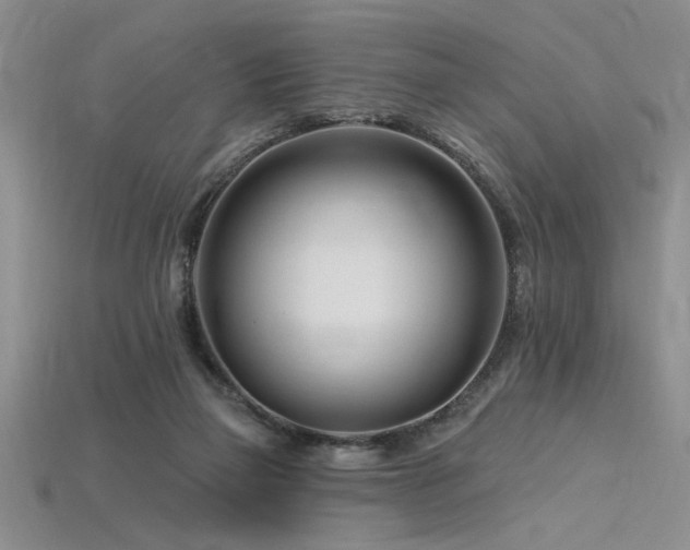 X0000115810165200911131427