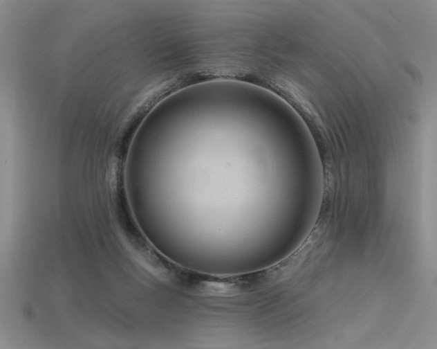 X0000115810167200911131427