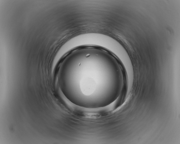 X0000115810170200911131428